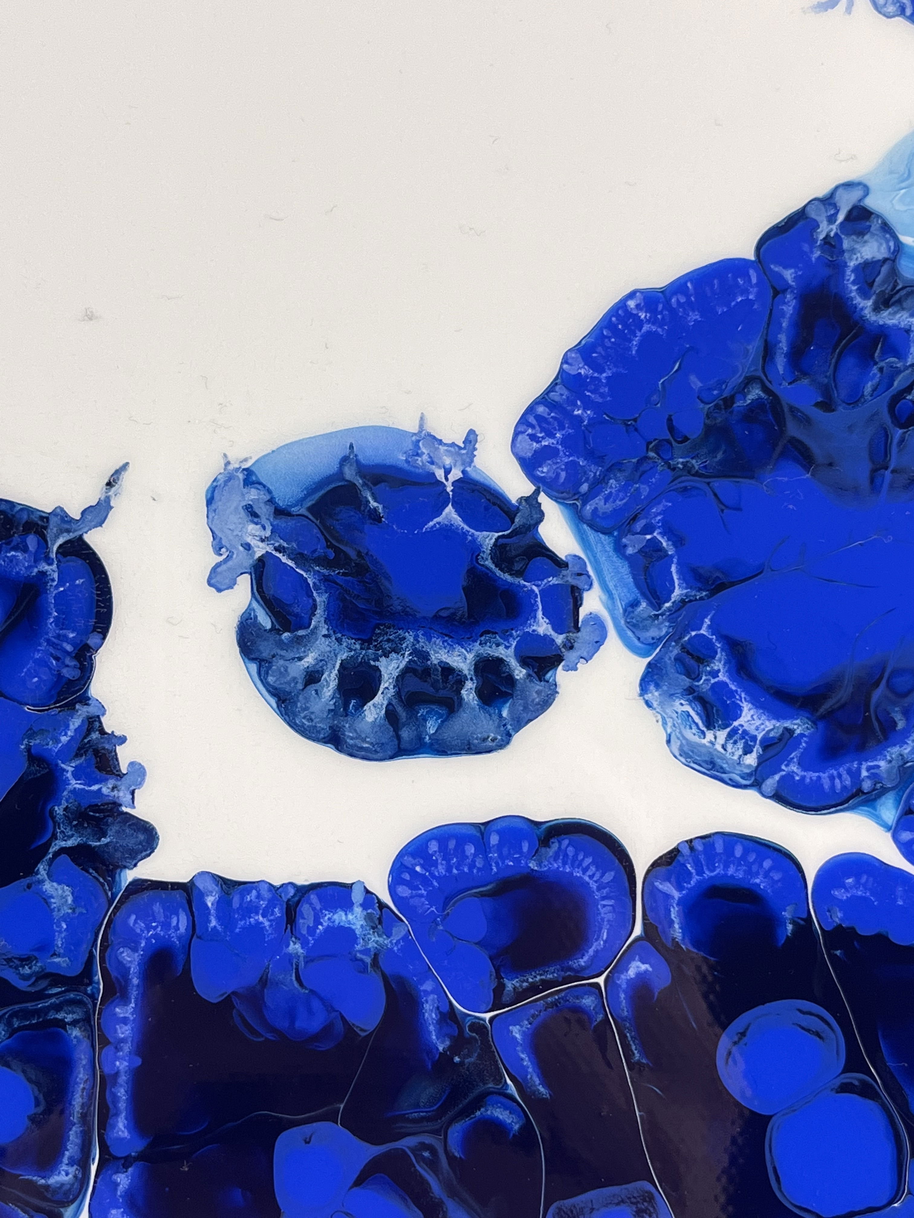 Acrylic abstract art featuring fluid cobalt blue forms against a stark white canvas, evoking organic movement and dynamic tension, captured in striking luminosity. Artwork style is Abstrakt and technique Acryl auf Leinwand.