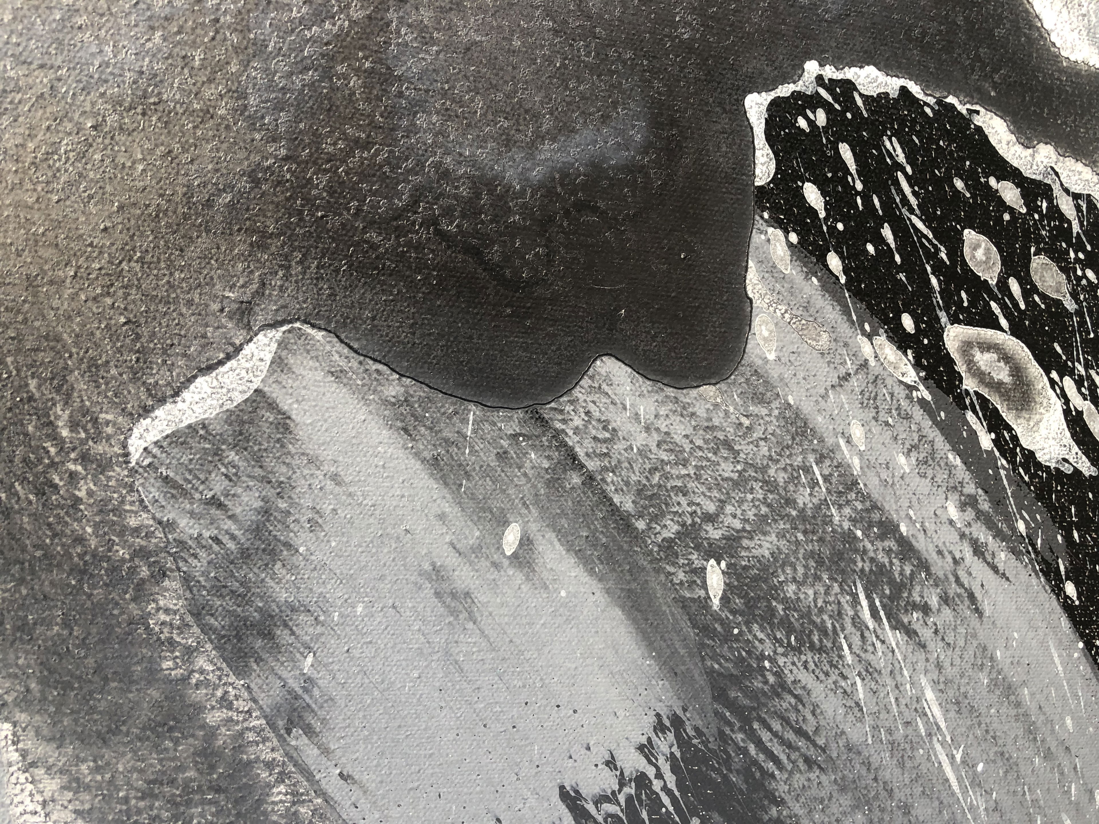 An abstract acrylic artwork on canvas, exuding dynamic fluidity and monochrome contrasts. The grayscale textures intertwine in a cascade of bold intonations, igniting a sense of mystery. Artwork style - Abstrakt and technique Acryl auf Leinwand.